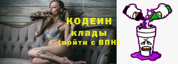 дмт Лабытнанги