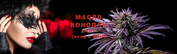 дмт Лабытнанги
