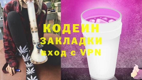 дмт Ладушкин