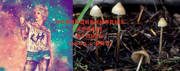 твердый Кулебаки