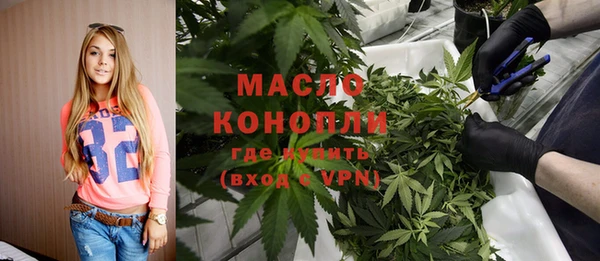 дмт Ладушкин