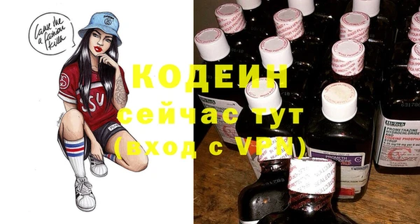 индика Пикалёво